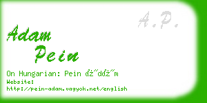 adam pein business card